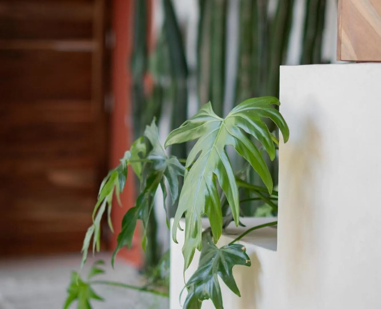 Villa Luxauthentika Tulum Mexico